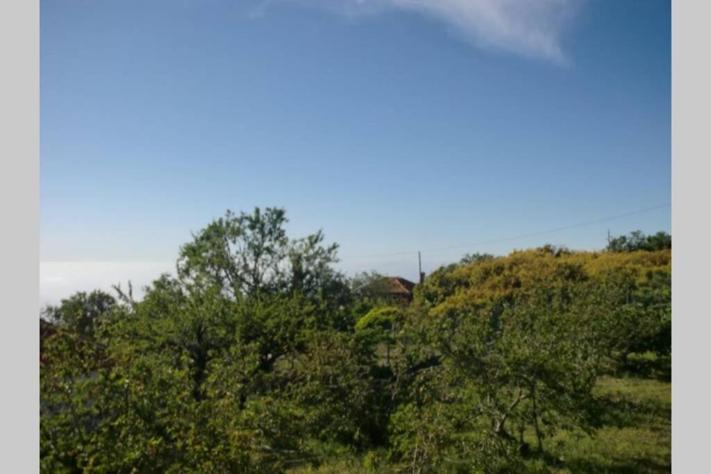 Casa Corea 2 Puntagorda Kültér fotó